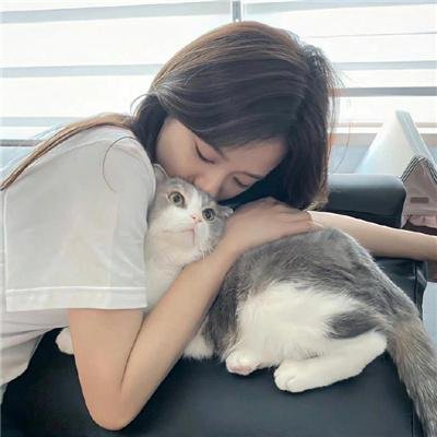 猎豹